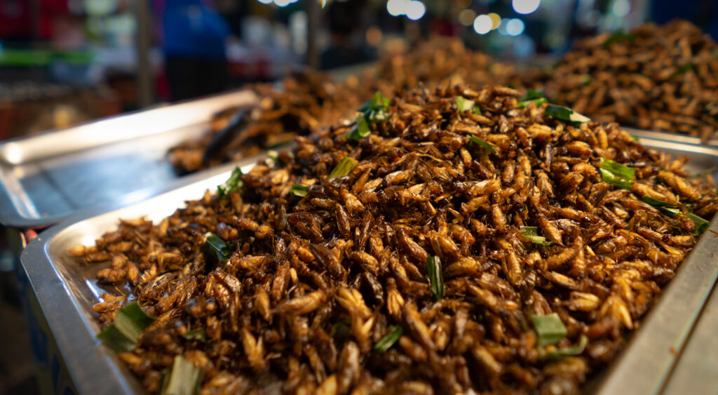 Fried insects