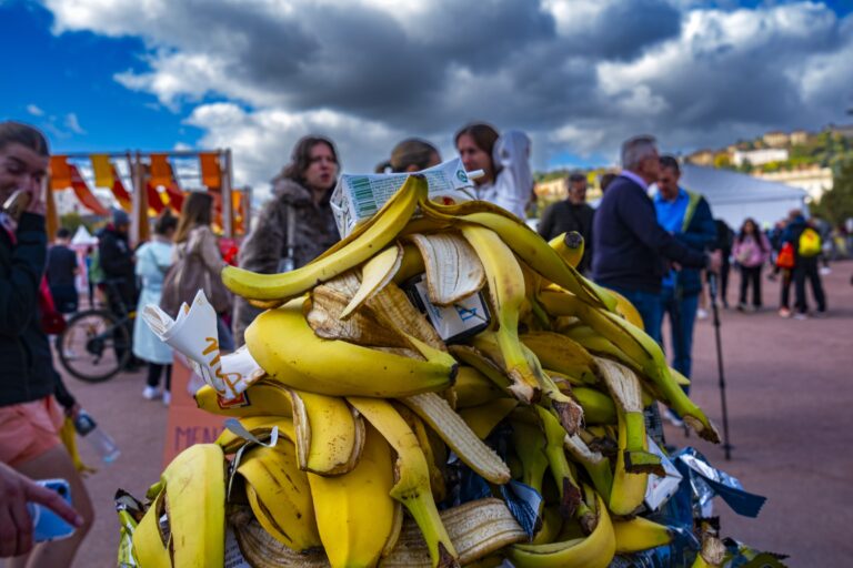 An overflowing pile of banana peels outside