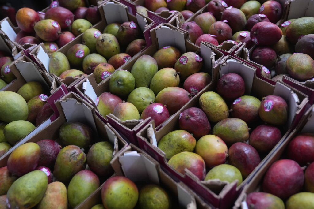 US State Budget Uncertainty Boxes of mangoes are shown at a warehouse