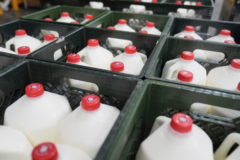 File: Crates of milk are seen at a food bnk warehouse on July 2, 2025.