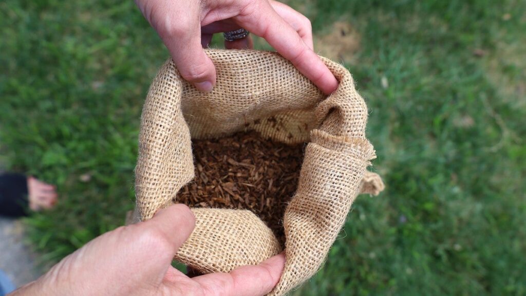 human-composting-SM-082625-05-espanol Jayme Strasburger decidió compostar a su madre