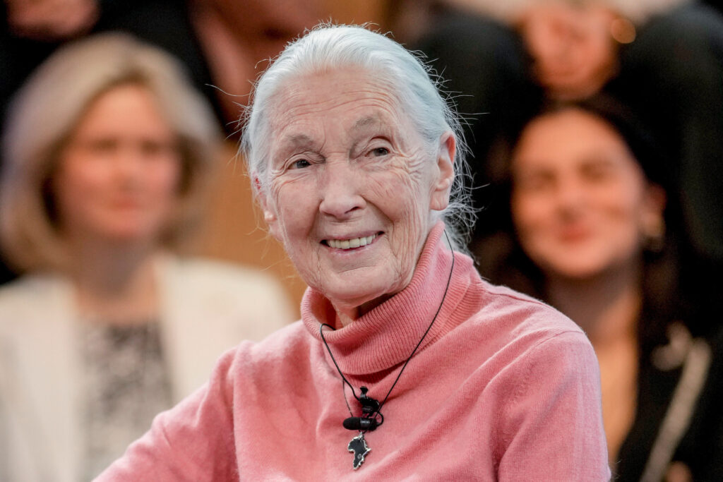 Obit Jane Goodall Jane Goodall smiling while speaking on a panel