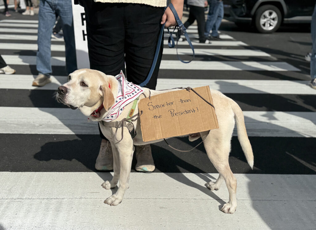 ‘’No Kings’’ protesters gather at Philadelphia City Hall on Oct. 18, 2025.