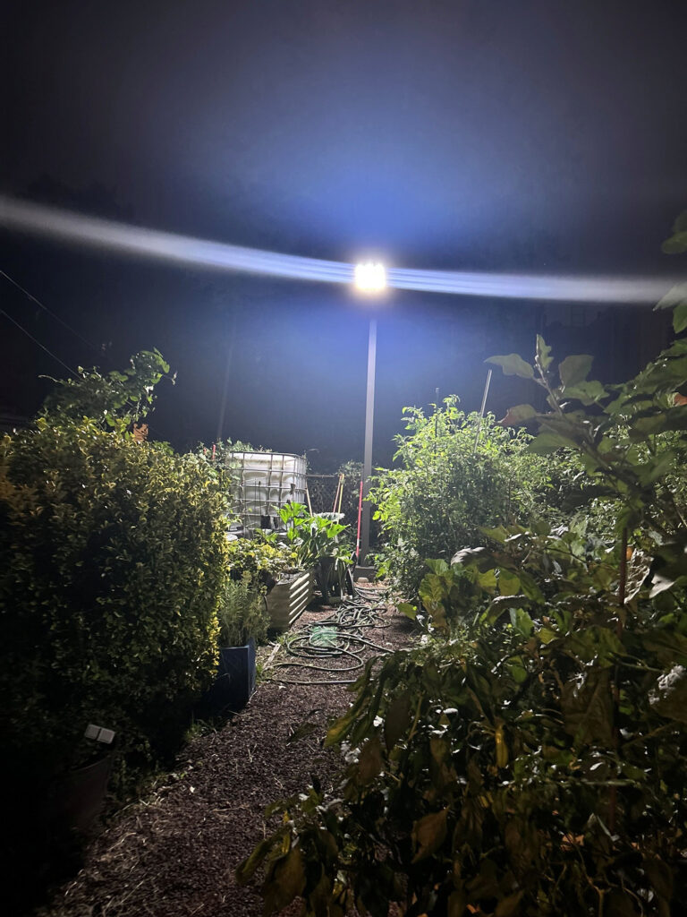 A solar-powered streetlight lights up the area in Philadelphia's Nicetown-Tioga neighborhood