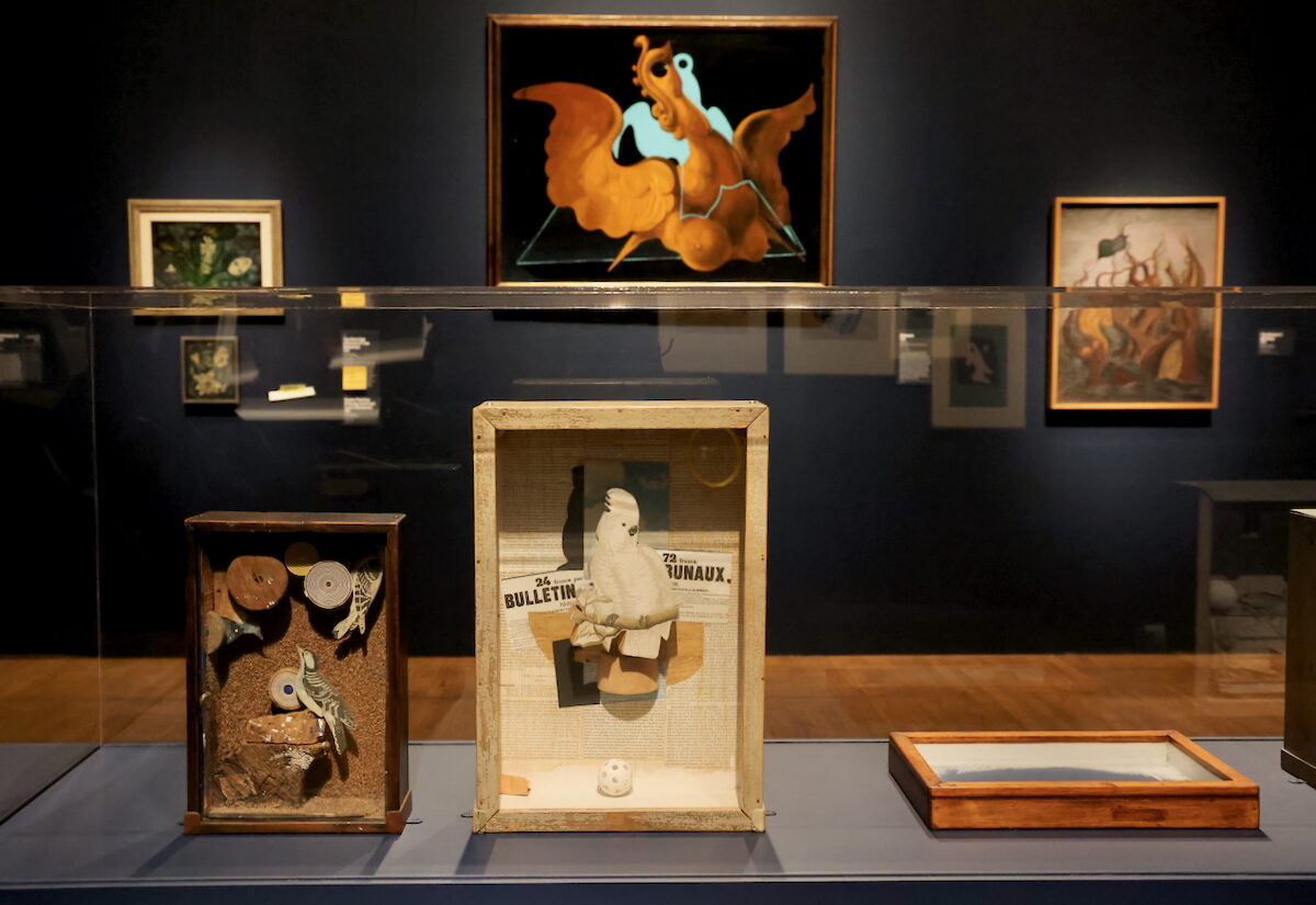 Joseph Cornell's shadowboxes (foreground) and ''Chimera'' by Max Ernst (top center)
