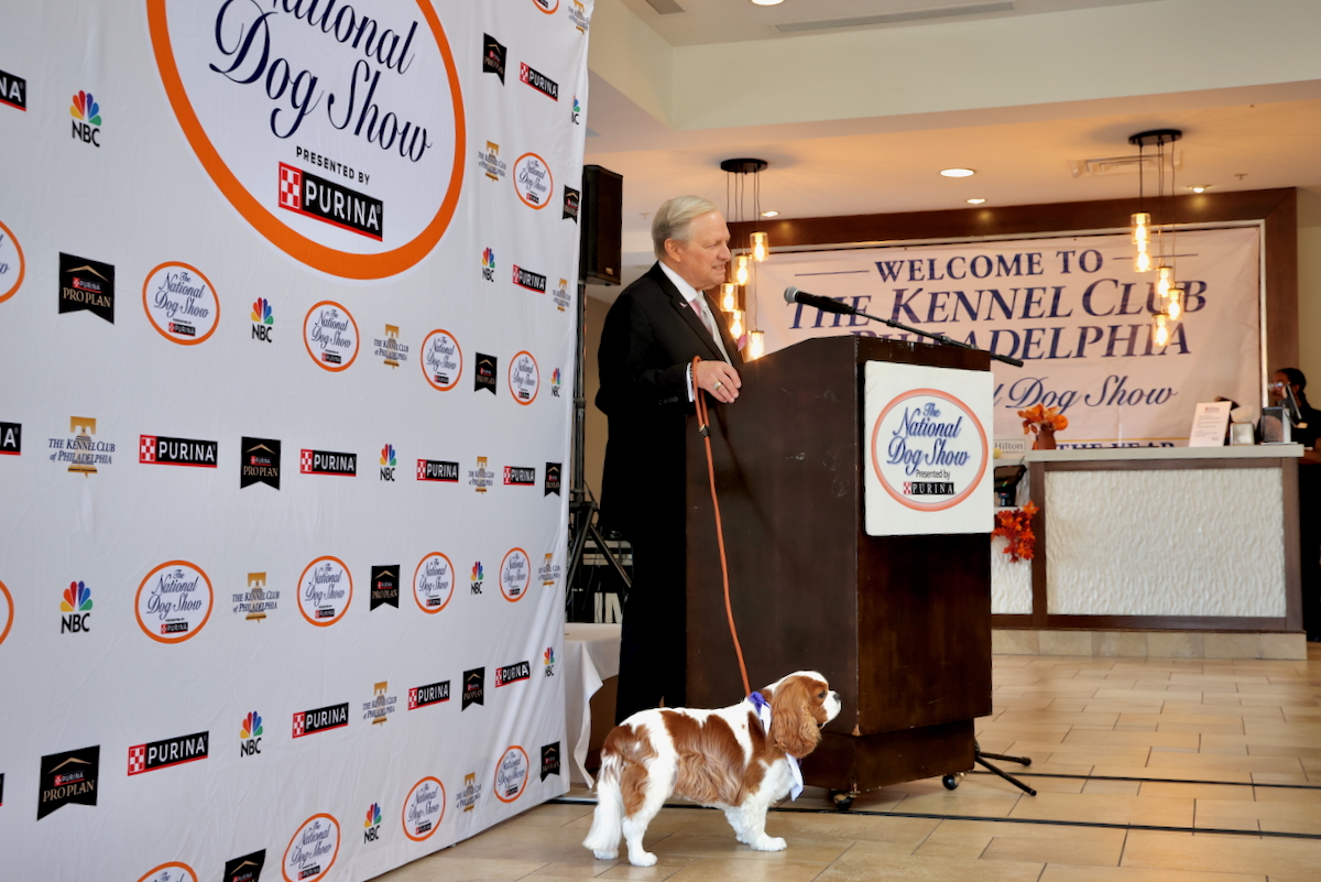 David Frei speaks at a podium accompanied at the podium by his 5-year-old Cavalier King Charles spaniel