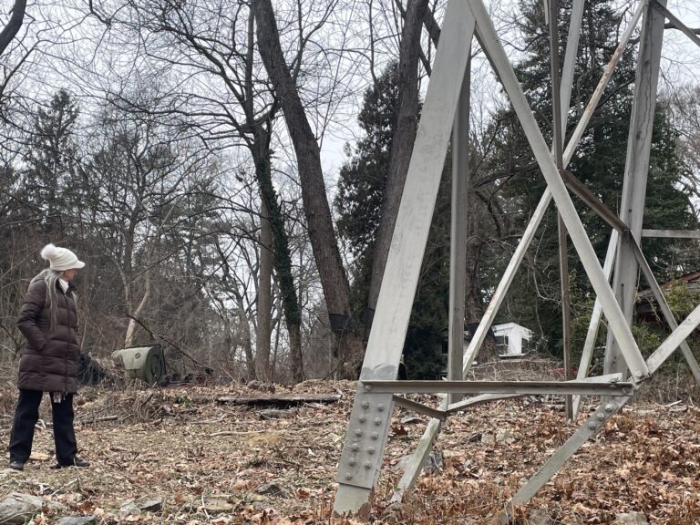 Lisa Wilson Riblett standing next to a transmission tower
