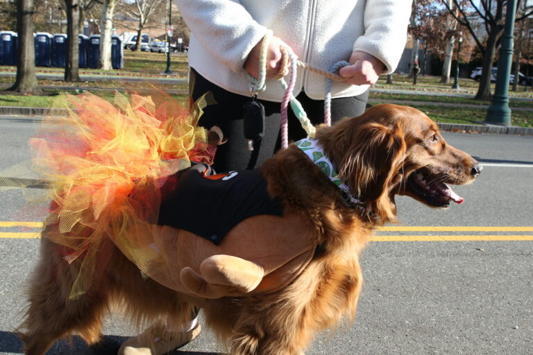 Dog and Owner at 2025 Thanksgiving Day Parade