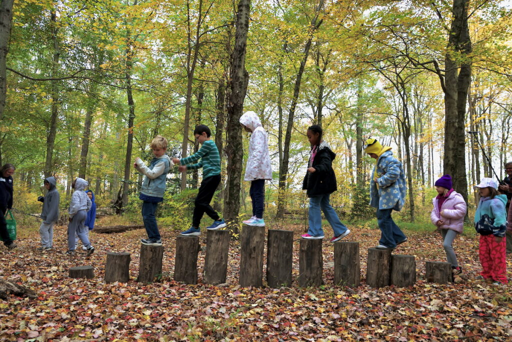 2025 10 28-e lee-croydon pa keystone elementary school-nature club stepping stumps Young students from Keystone Elementary School's Nature Club in Croydon walk across a makeshift bridge of wooden stumps in the middle of Croydon Woods.