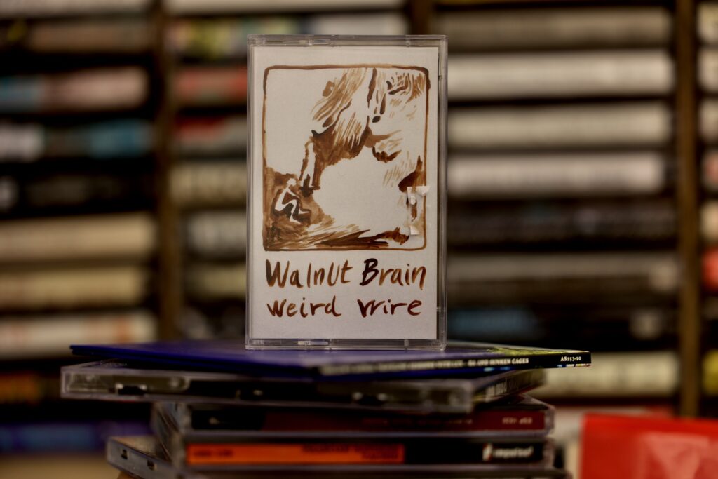 A cassette tape of the band Walnut Brain, with other tapes visible behind it.