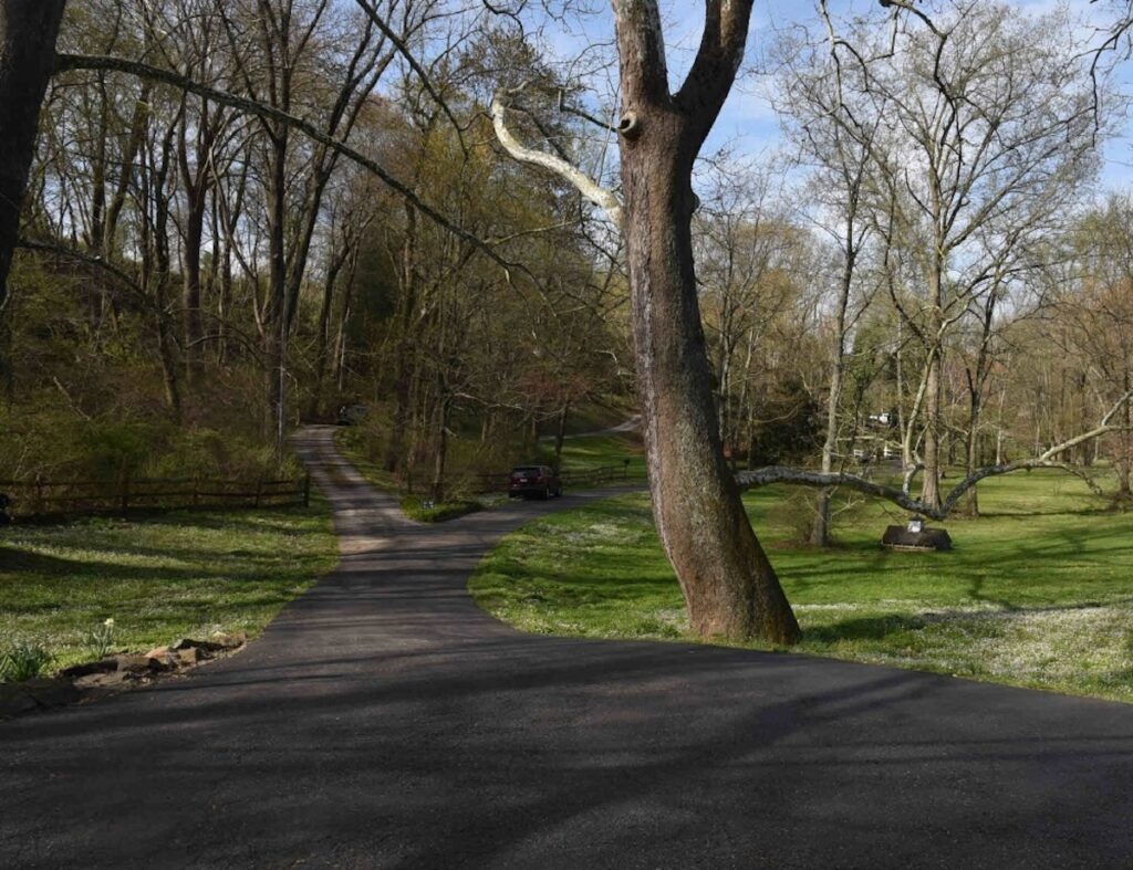 heyburn-road-chadds-ford-del-court-2025-12-15 A remote stretch of road surrounded by woods