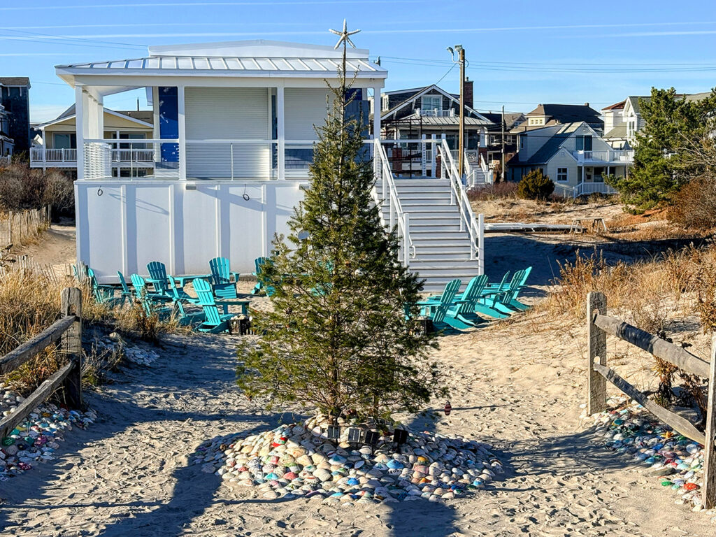 The North Street Tree in Ocean City, New Jersey
