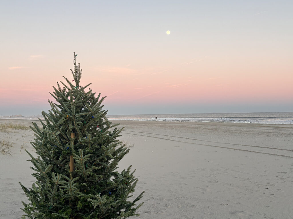 The OCNJ Queens tree at dusk in Ocean City, New Jersey