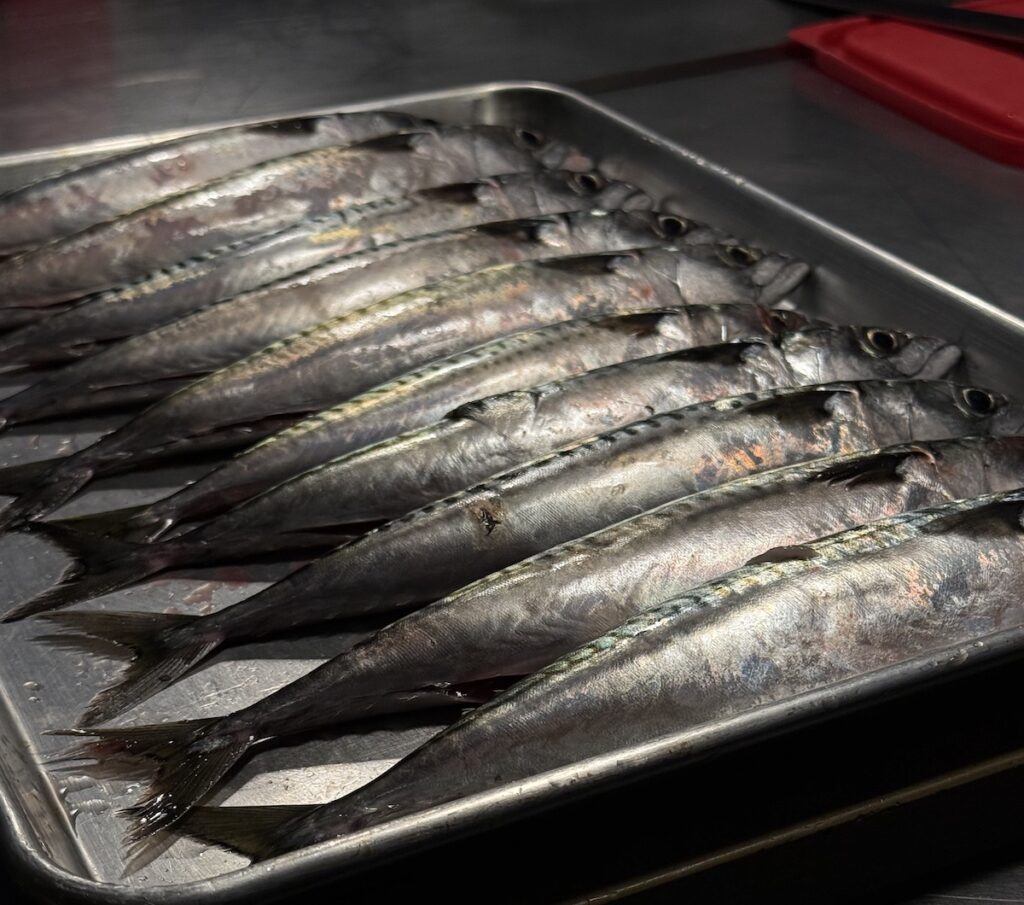 Seven fishes dinner at Elma