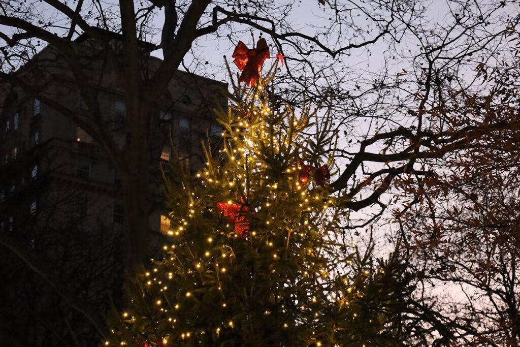 philly_hanukkah_xmas_tree-TTD Decorated Christmas tree in Rittenhouse Square