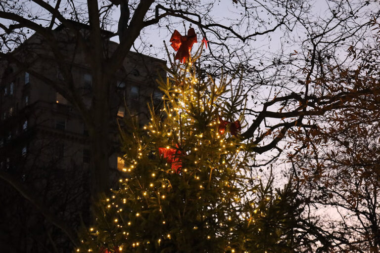Decorated Christmas tree in Rittenhouse Square