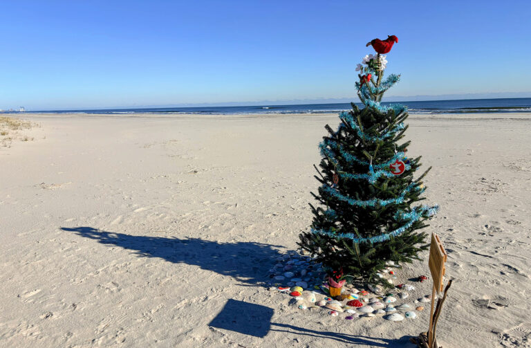 The Residents' Memorial tree in Ocean City, New Jersey