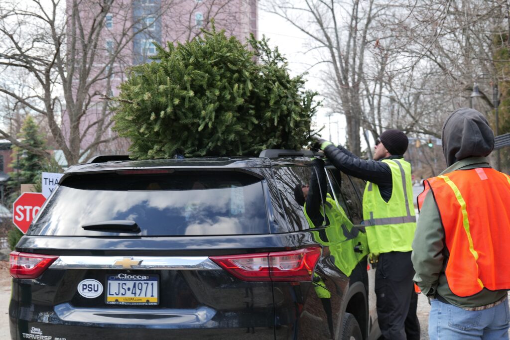 a Christmas tree on a car