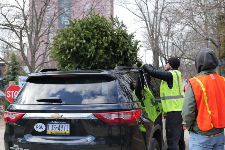a Christmas tree on a car