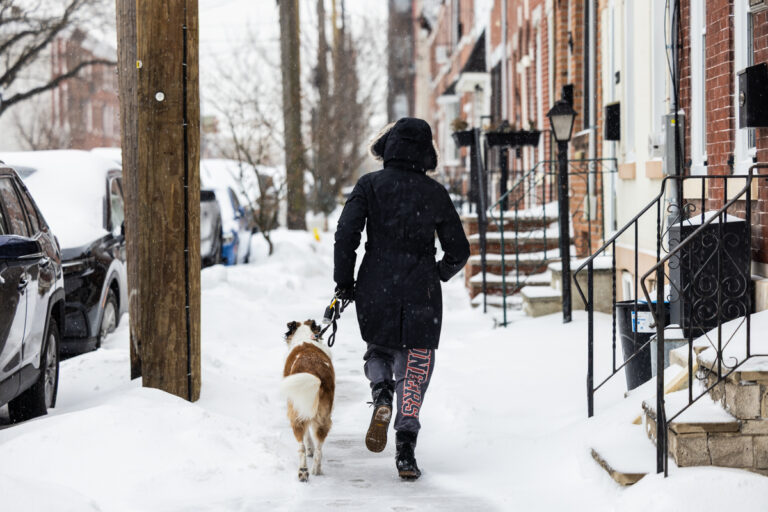 Cooper the dog enjoys the snow while walking with his human in Fishtown, Philadelphia, Jan. 25, 2026