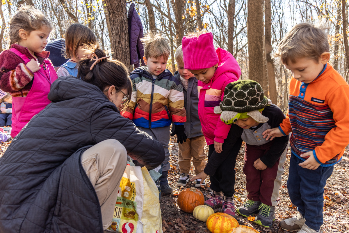 Children and a teacher huddle around a line of pumpkins outside