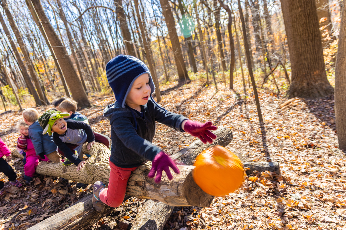 Children at the Schuylkill Center’s Nature Preschool climb on logs outside