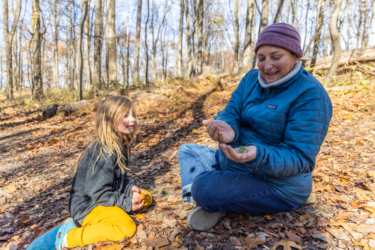 A teacher holds a katydid in front of a child