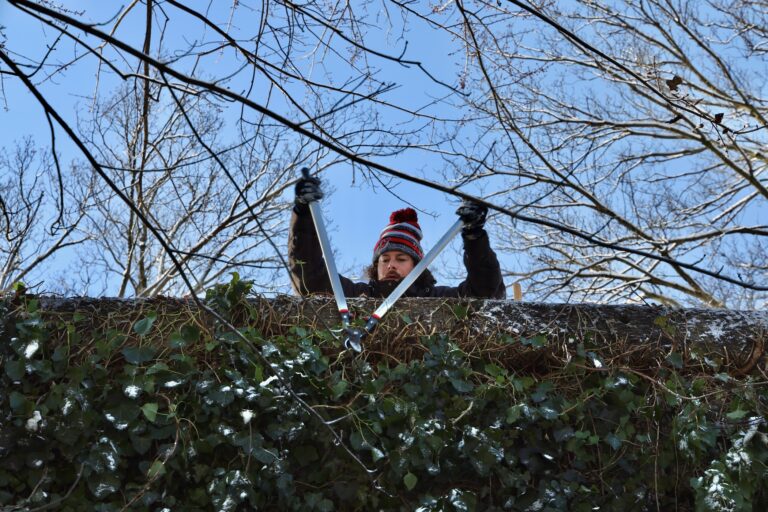 Conor Klerekoper helps to clear the 52nd Street overpass of invasive English ivy