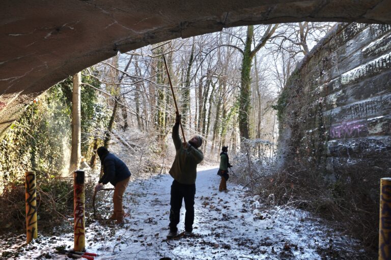 Jamie Coyle (center) and other volunteers help clear the 52nd Street overpass of invasive English ivy