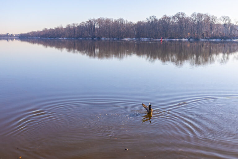 The Delaware River near Bristol, Pennsylvania