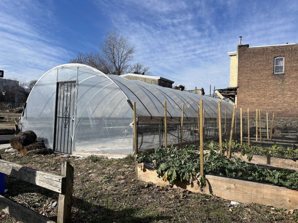 View of greenhouse in SouthWest Philly