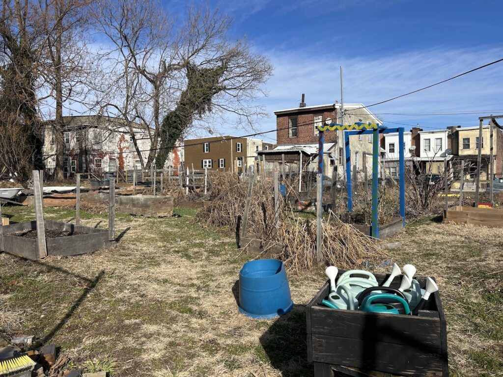 View of the original American Foundation community garden