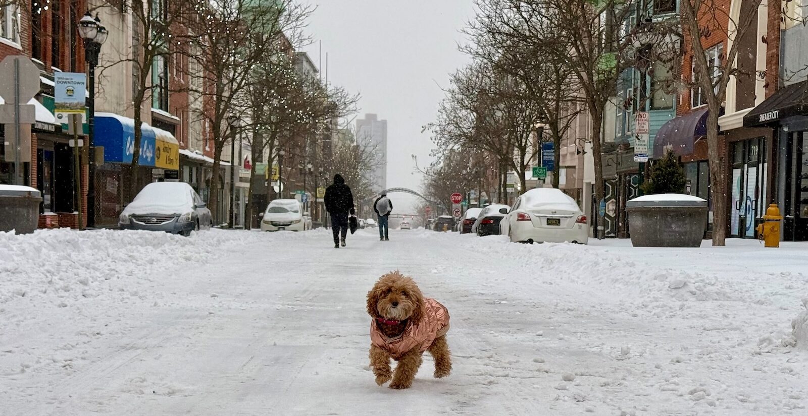 A dog goes for a walk with her human through snow-covered streets in Wilmington, Delaware
