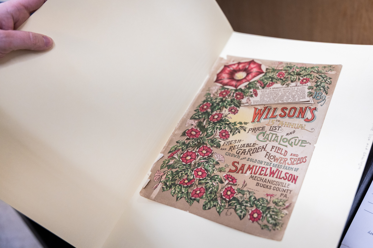 an old seed catalog