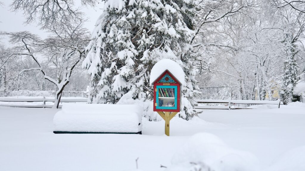 2026 02 23-e lee-moorestown nj-blizzard aftermath little free library A little free library can be seen standing above the snow, while a bench next to it is entirely covered after a huge snowstorm in Moorestown, New Jersey