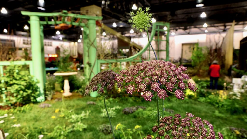 2026 02 26-e lee-pennsylvania convention center-philadelphia flower show anemoia overrun a flower exhibit at the Philadelphia flower show