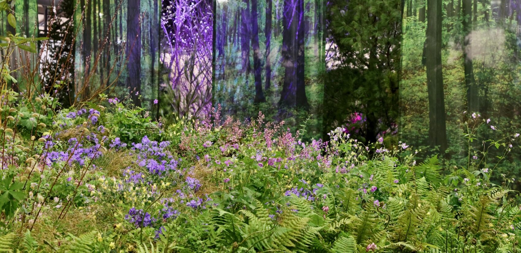 A slope of ferns and flowers glow against a backdrop of real and fabric trees at the Philadelphia Flower Show
