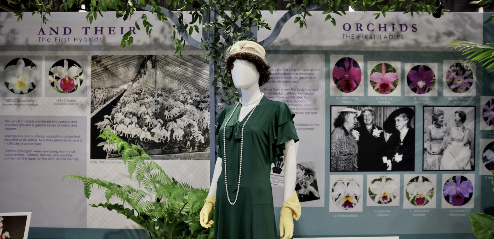 an orchids exhibit at the flower show