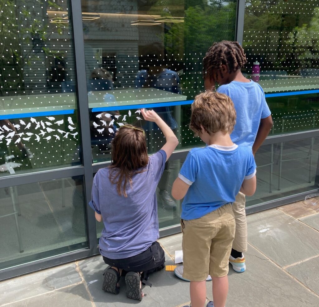 students installing bird protections on windows