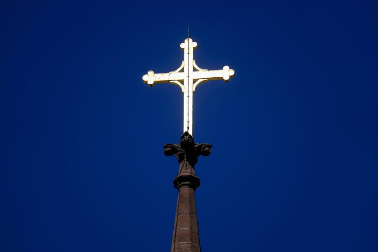 The Cathedral of the Immaculate Conception