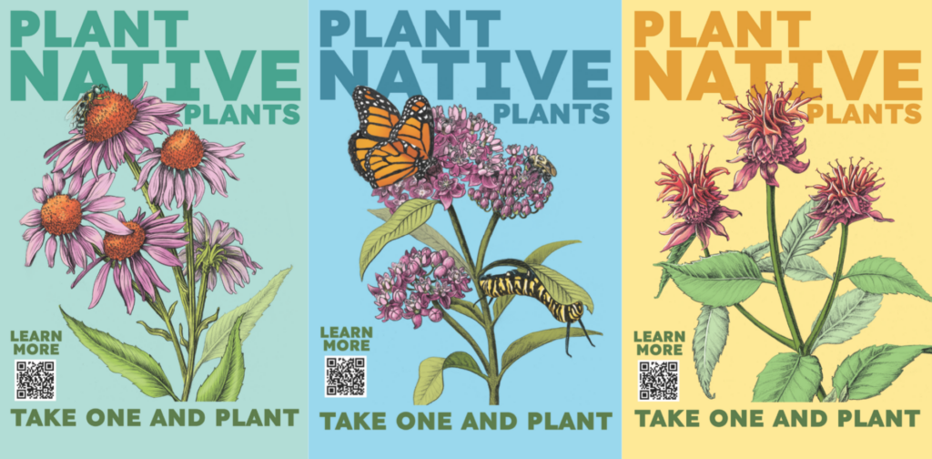 plant-native-bp-022426 Posters by artist Meg Lemieur