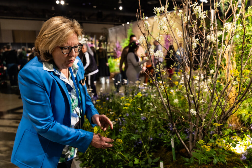 03 05 2026 k paynter sustainable gardening flower show-4 Claire Jones examines a plant