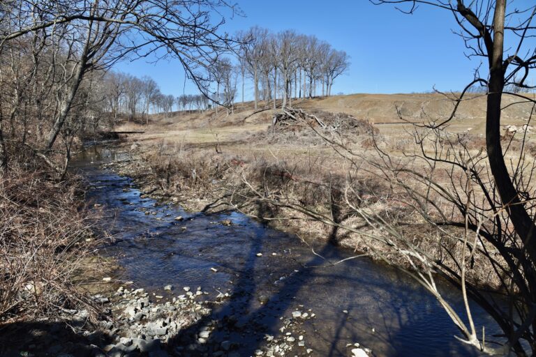 Cobbs Creek