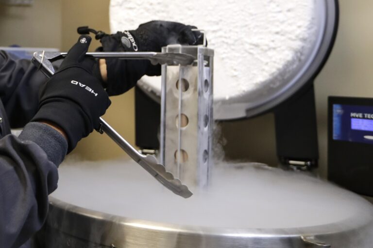 Someone is wearing protective gloves is using tongs to hold up a container that has has frozen embryos in it at a clinic.
