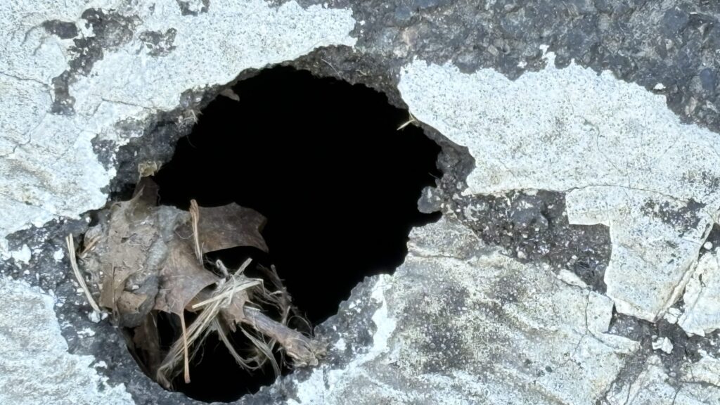 A look into a massive pothole