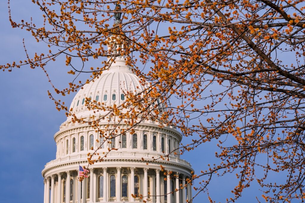 The U.S. Capitol