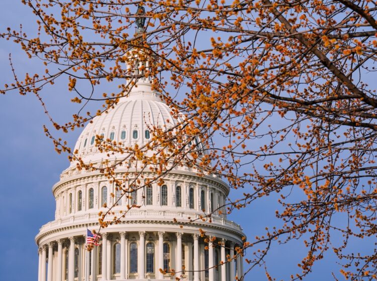 The U.S. Capitol