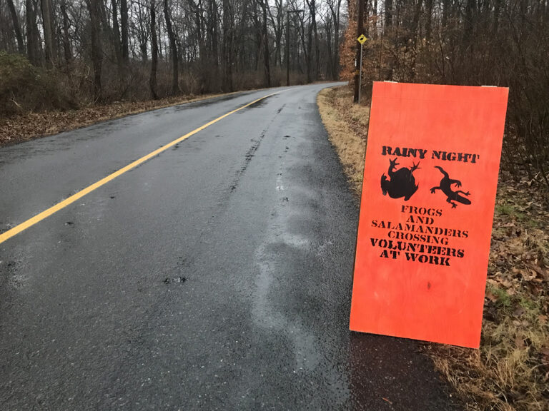 A sign on the side of the road reads 