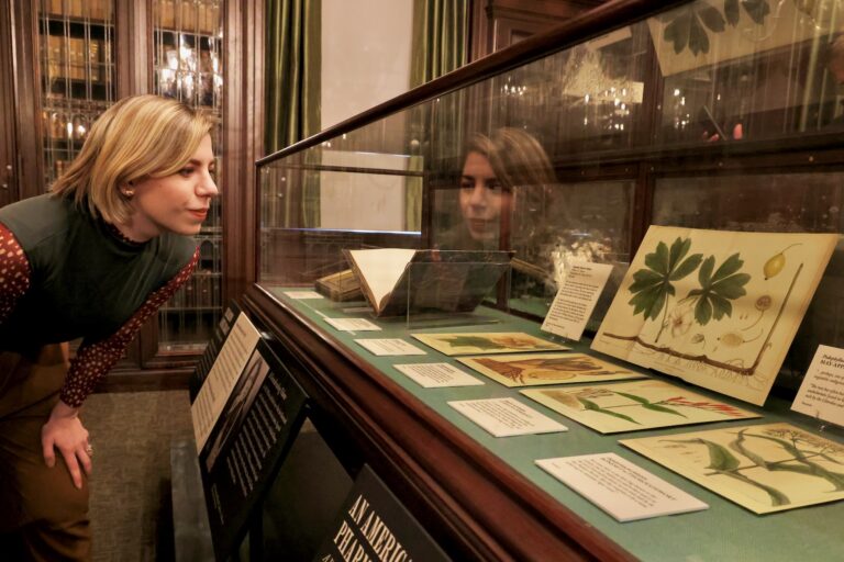 Meredith Sellers closely examining artifacts in a display case