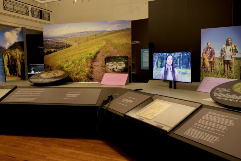 Several panels and photos are shown in the exhibit